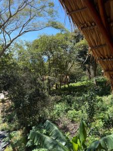 Itsalifestyle Jungle Cabana