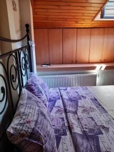 Sithonia Alekos Luxury Experience