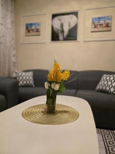 Urban Oasis - Executive Suite Machakos