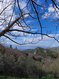 Zelis In Pelion Greece