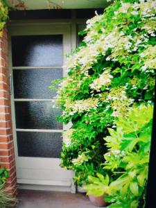 Benny Apartment Dublin