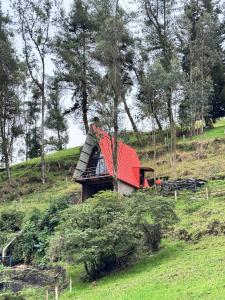 Pacha Glamping Experience