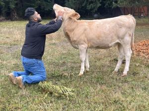 Farmstay in the Woods at Cedrus Farms