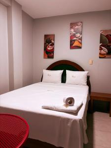 HOTEL ALFONSO UGARTE