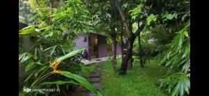 The Little House