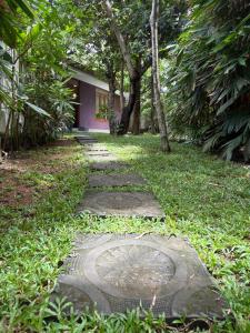 The Little House