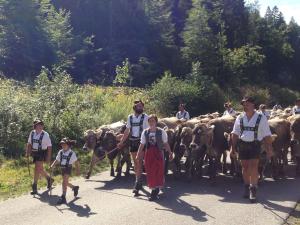 Apartment Sport Alpin Wh 130 by Interhome