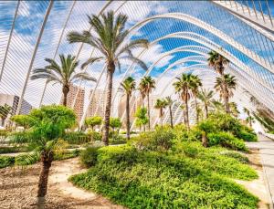 Che Loft! Artes y Ciencias