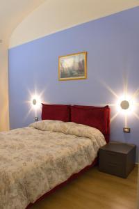 Domus Vatican Museum