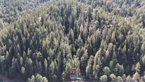 Hermosa Cabaña dentro Bosque de Monterreal a pasos de Casa Club!