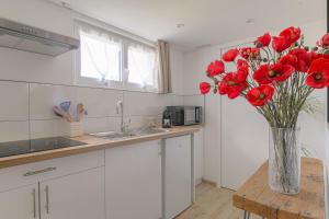 Appartement lAtelier Les écrins de corbas