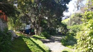 Refugio Familiar Los Boldos Punta Puyai Papudo