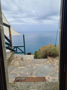 Agave di mare