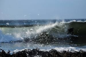 Romantic Vintage VW Kombi Glamping Puertecillo
