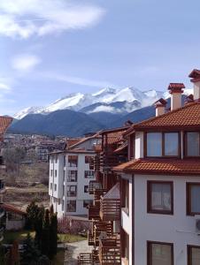 Studio in Murphys Lodge