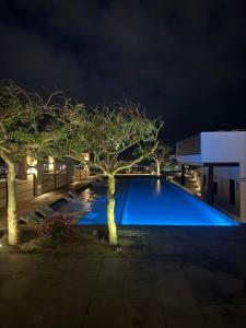 CABO M201B Luxury Corner Studio