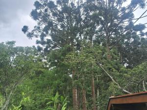 Camping caminho das pedras