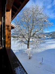 Nature Escape in Aeschi, Close to Interlaken