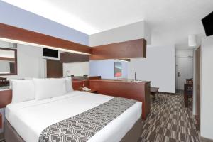 1 Queen Bed, Accessible Studio Suite, Non-Smoking room in Microtel Inn & Suites by Wyndham London