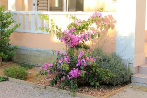 Apartment Novalja 9403d