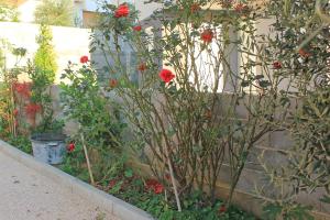 Apartment Novalja 9403d