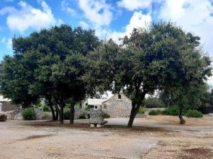 Rooms with a swimming pool Selca, Brac - 25202