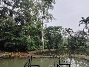 Vértice Blue Mountain Lodge la cueva de la montaña