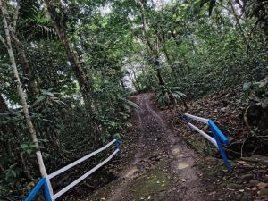 Vértice Blue Mountain Lodge la cueva de la montaña