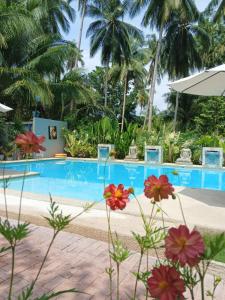 House Rental Banaba Tree Room C Mezzanine