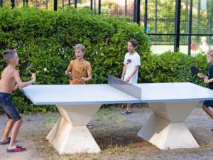 Mobil-home confortable avec terrasse - API-1-52-652