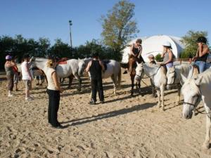 Chalet 35m² avec Terrasse à Lons-le-Saunier - API-1-52-250