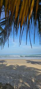 Ojala Beach Resort