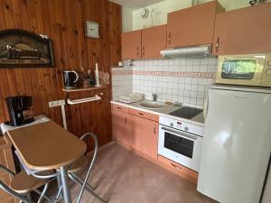 Appartement cosy 1 chambre, au centre de Super Besse - FR-1-814-1
