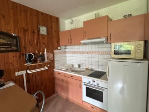 Appartement cosy 1 chambre, au centre de Super Besse - FR-1-814-1