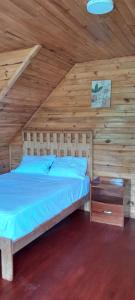 Cabaña Amazon Dreams Lodge