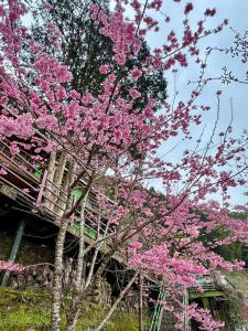 Da Kuan Peach Farm Resort 達觀農場民宿