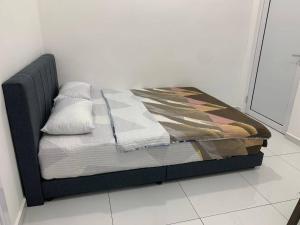Ell Homestay with Private pool Pasir gudang