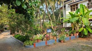 Lakeview homestay