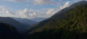 Lovely home stay