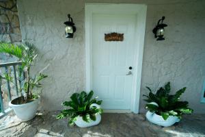 Carrot House 2