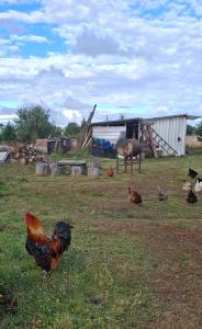 Cabaña Evaristo Ivan