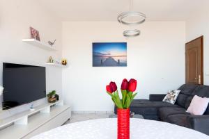 Luxury apartment Veliko Brdo Self check in