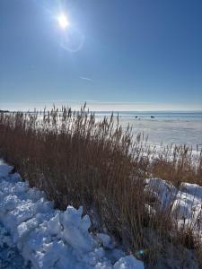 Cozy cottage by the sea, near Kullaberg