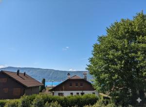 Maison au calme avec jardin Veyrier-du-Lac