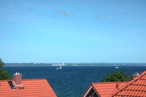 Ostseeallee 18 Ferienwohnung Muschelsucher