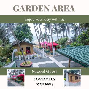 Nadeel Guest