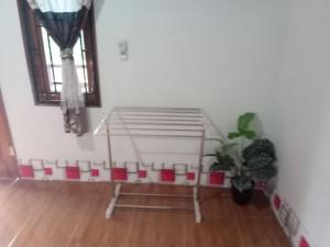 Jungle Trekking,&Jungle Tour