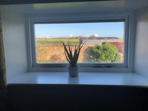 4-Bed Cottage at Famous Tuckers Grave Inn Sleeps 8