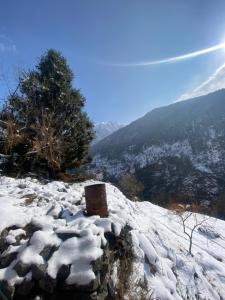 Rebirth home stay