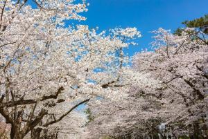 211gblhouse,難波,道頓堀,黒門市場など主要観光地へすぐの好立地usjへもすぐ!駅から1分のおしゃれなお部屋!